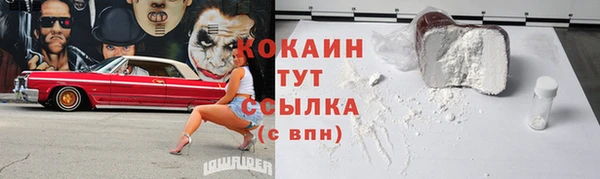 прущие грибы Верхний Тагил