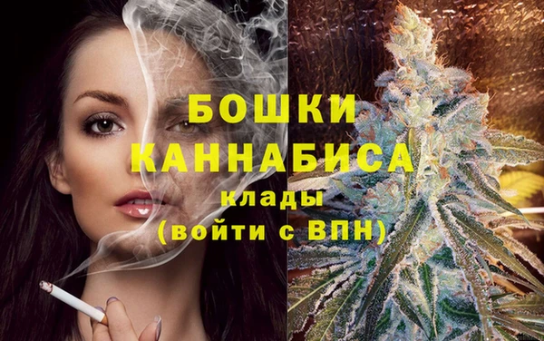 амф Верея